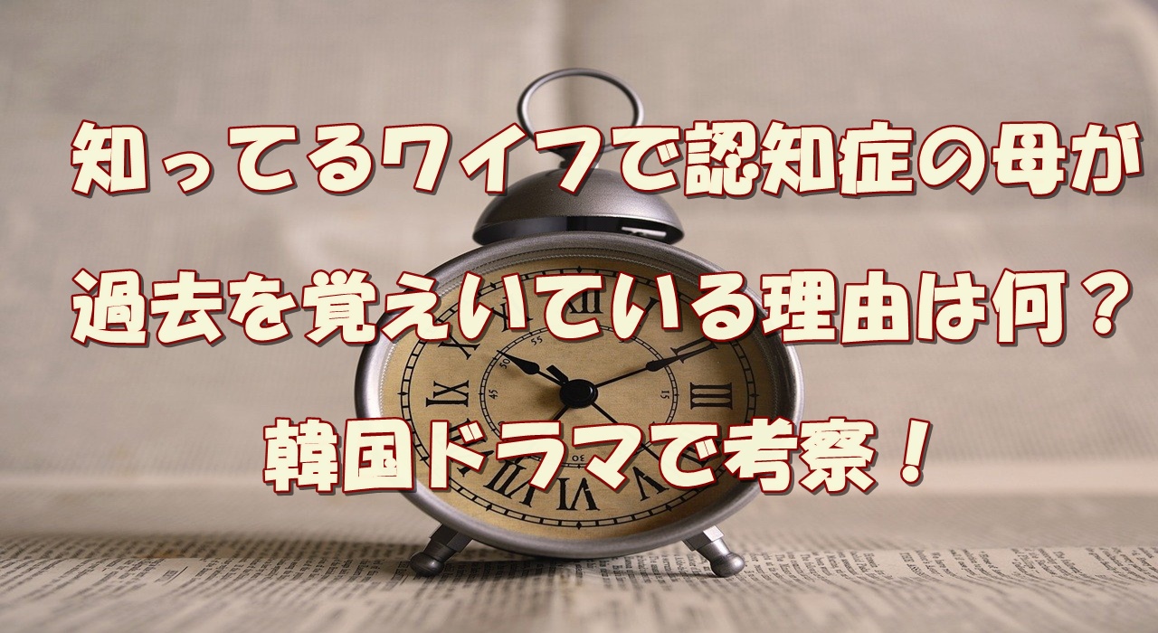 わたどうドラマは何話まで 最終回spはいつ