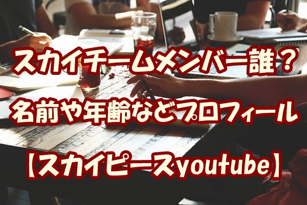 スカイチームメンバーは誰 名前や年齢などプロフィール スカイピースyoutube